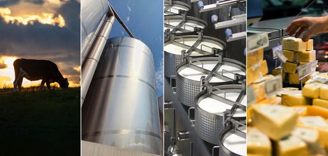 Rabobank Q12024 report dairynews7x7