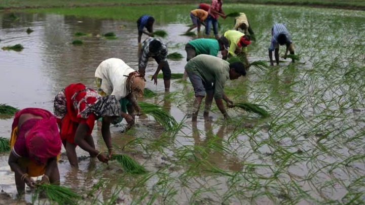 Real agri value in India dairynews7x7