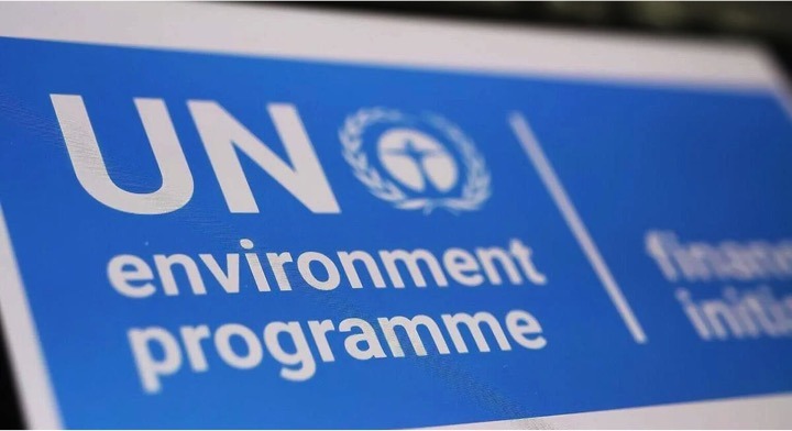UN environment program dairynews7x7