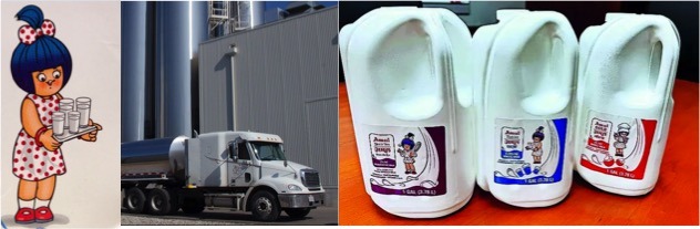 amul to launch fresh milk in USA