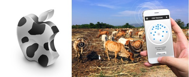 apple in dairy technology dairynews7x7