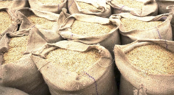 ban on DORB export extended dairynews7x7