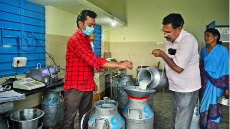 aavin milk procurement down dairynews7x7