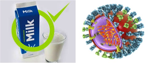 bird flu virus found in pasteurised milk dairynews7x7