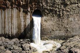 Dairy farmers in Udaipur village near Guwahati are in bad shape due to Corona