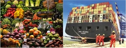 Farm produce exports exceed $10 b in April-Oct Livestock declines