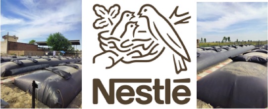 nestle biodigester project dairynews7x7