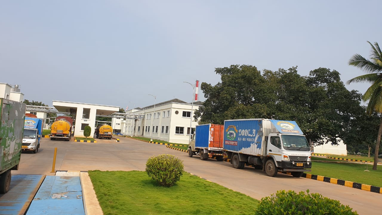 dodla dairy robust growth fy 25 dairynews7x7