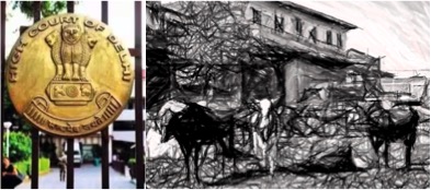 highcourt against unlawful dairies in delhi dairynews7x7