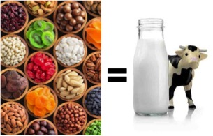 plant based food milk label fssai dairynews7x7
