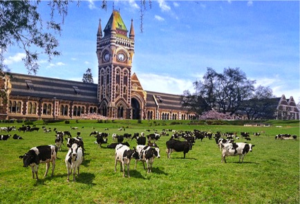 precision fermentation Otago newzealand dairynews7x7