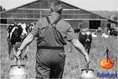 rabobank australia dairy outlook stable dairynews7x7