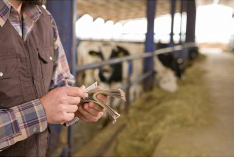 cheese and china driving US economy dairynews7x7