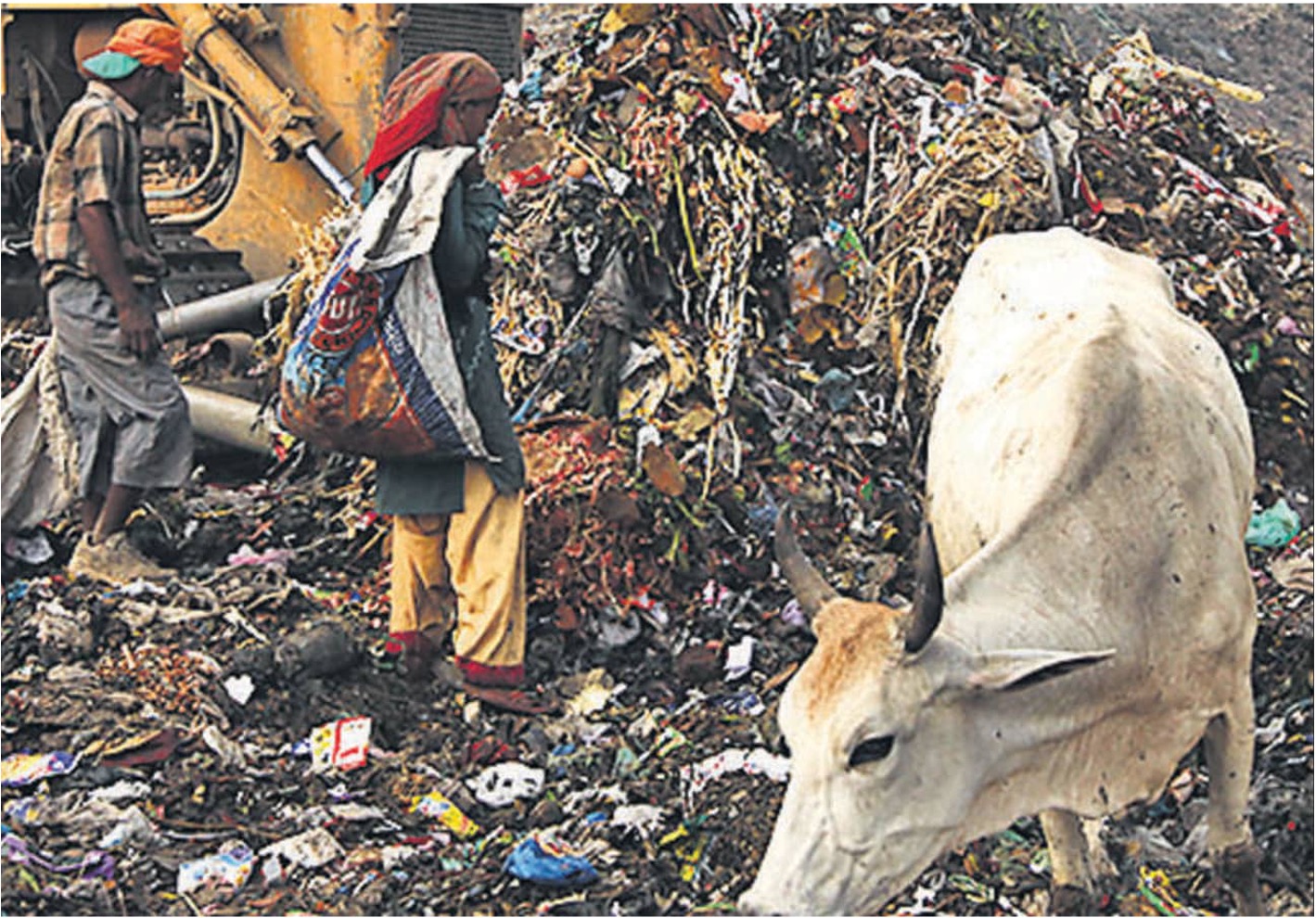 delhi HC violations dairycolonies dairynews7x7