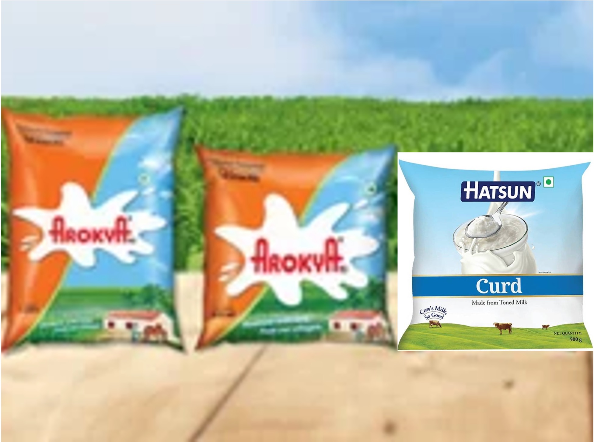 hatsun slash milk and curd prices dairynews7x7