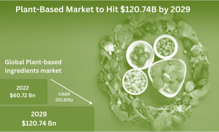 plant based food market growing dairynews7x7
