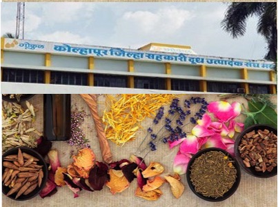 kolhapur gokul sets up herbal medicine plant dairynews7x7