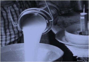 milk demand reducing in Indore dairynews7x7