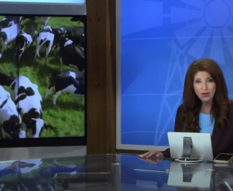 milk production inc and dairy herd dec in USA dairynews7x7
