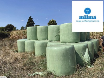 milma subsidy on silage feed dairynews7x7