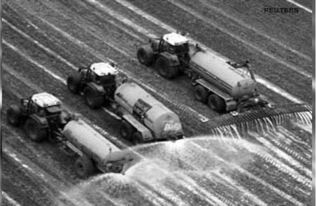 surplus milk powder problem dairynewsx7