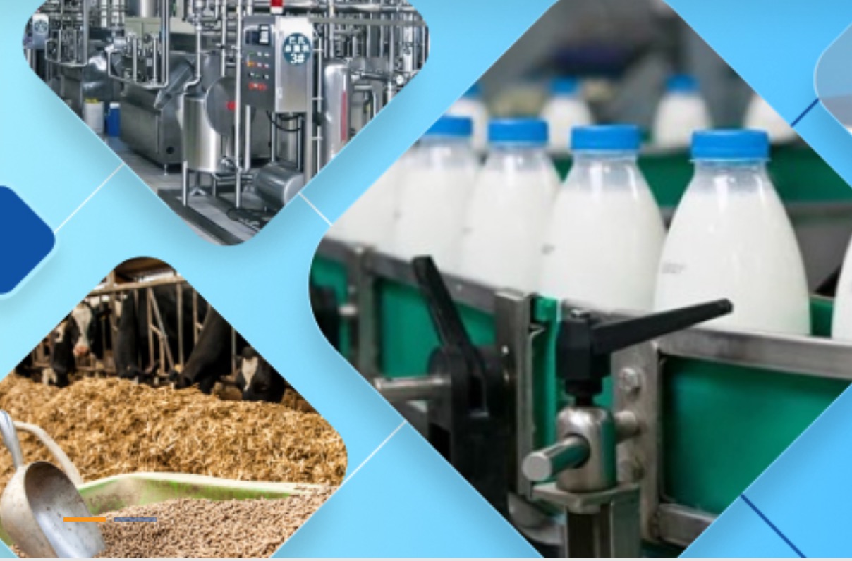 dairy industry in villages ahidf dairynews7x7