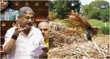 india lacks fodder dairynews7x7