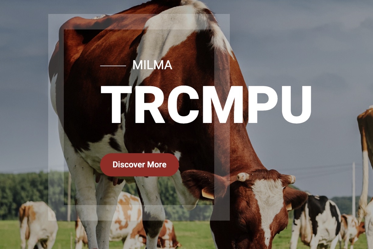 milma Rs9:lt extra onam dairynews7x7