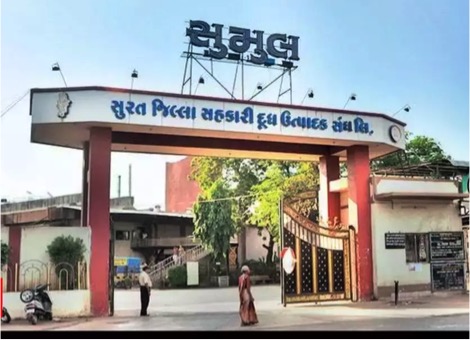 sumul dairy elections dairynews7x7