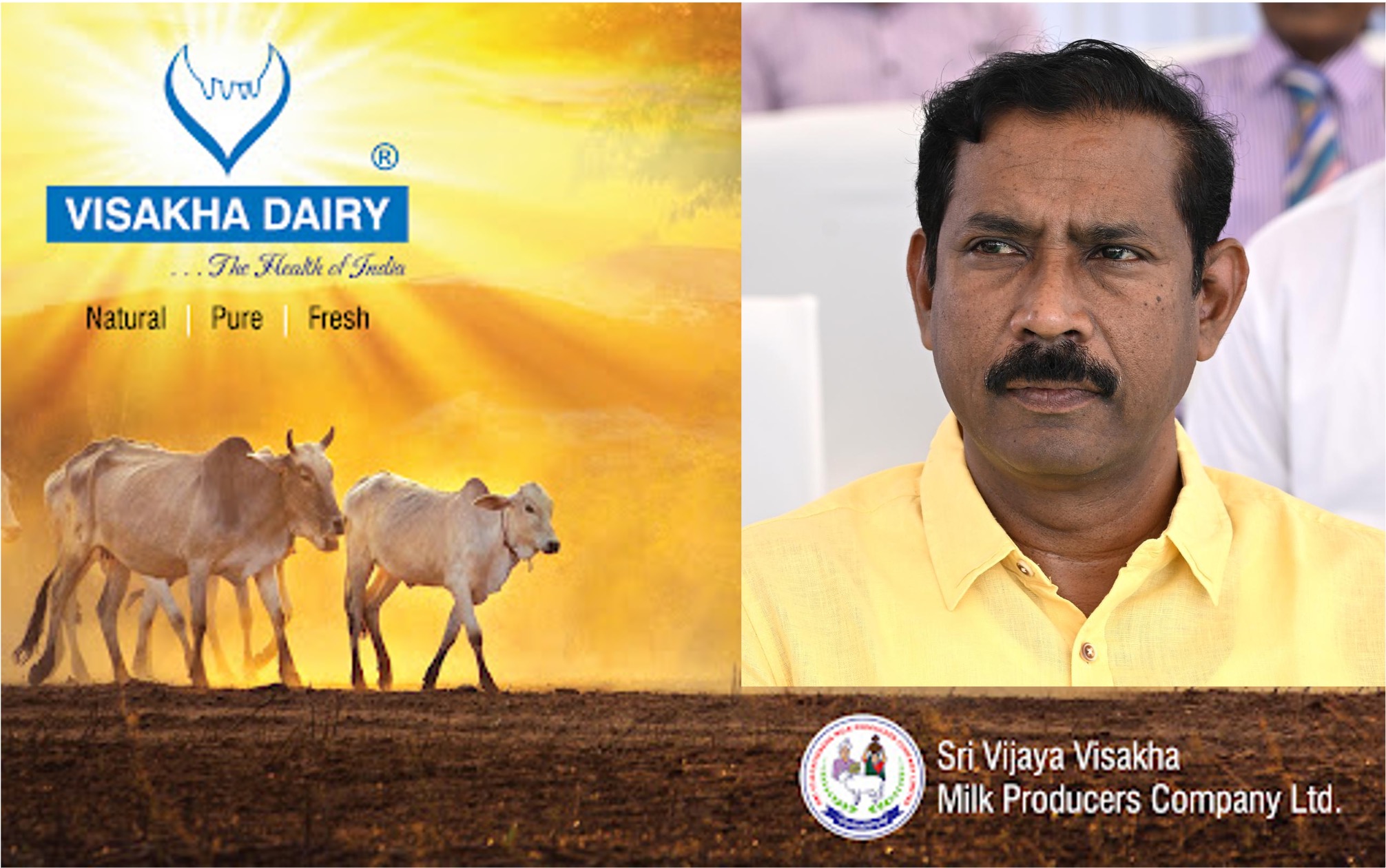 visakha dairy probe dairynews7x7