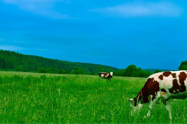 Maharashtra methane mission m3 dairynews7x7