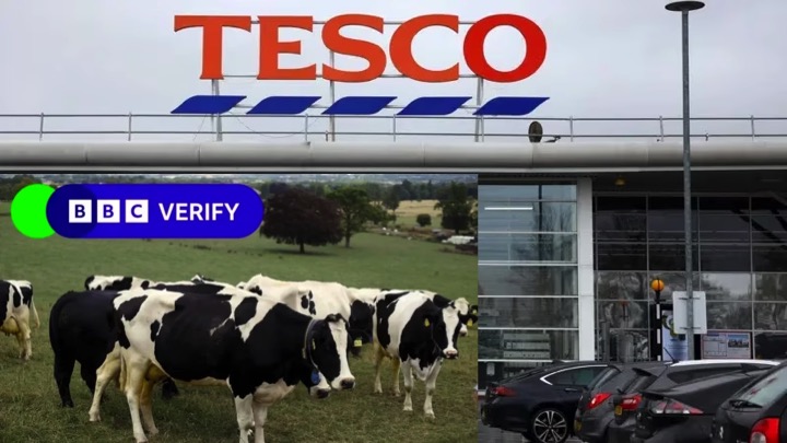 feed additive milk waste dairynews7x7