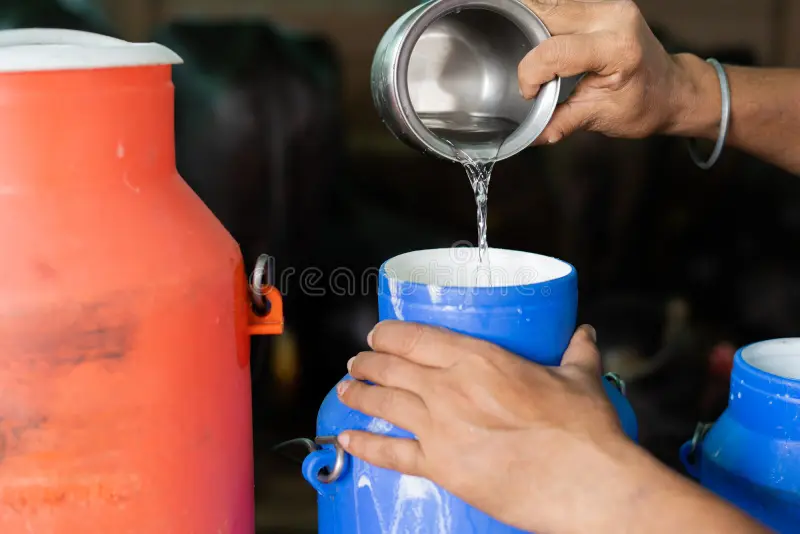 50% water adulterated milk RCDF dairynews7x7
