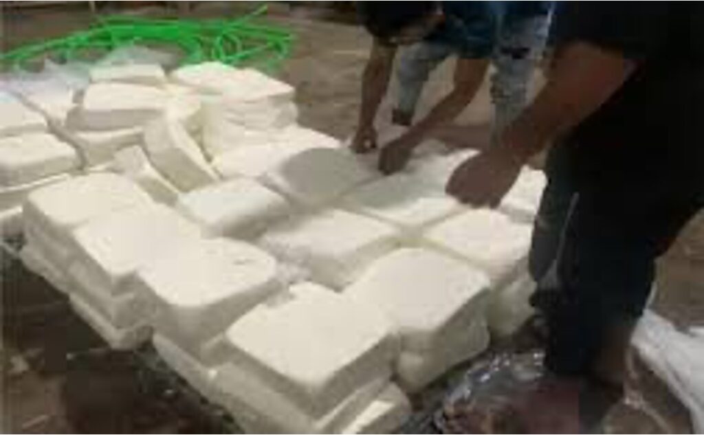 1500 kilos paneer seized dairynews7x7