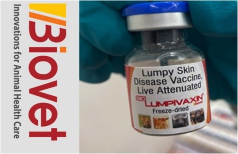 Biovet LSD vaccine CDSCO approved dairynews7x7