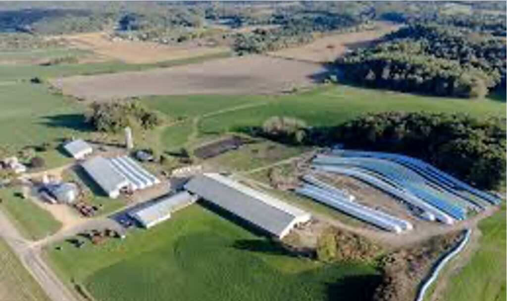 USA lost 6% dairy farms dairynews7x7