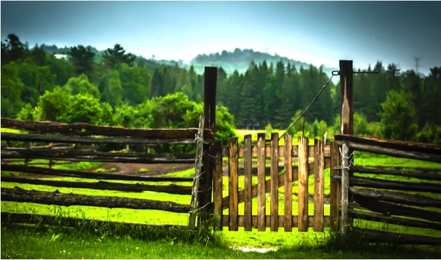 dairy players beyond boundaries dairynews7x7