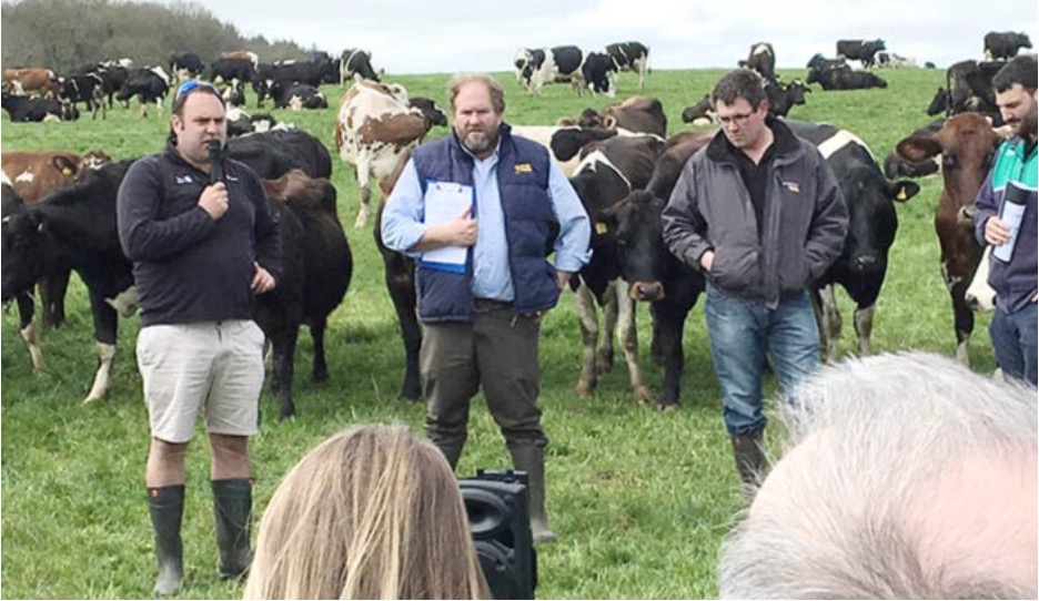 dairy production to rise UK dairynews7x7