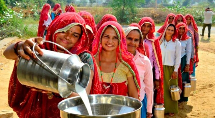 Women dairy cooperative looks at 1800 cr turnover dairynews7x7