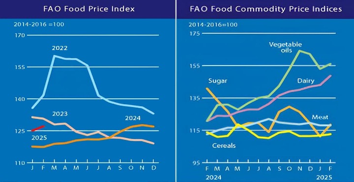 fao food price index dairy rise dairynews7x7