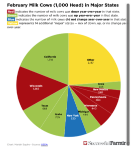 milk cows USA dairynews7x7