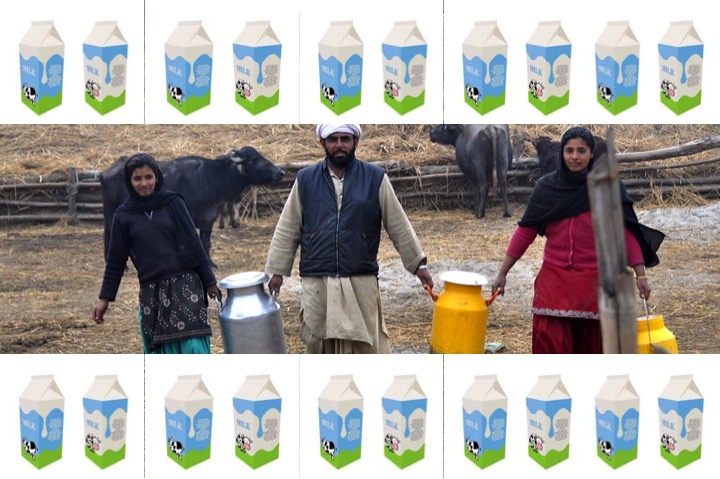 milk prices in countries dairynews7x7