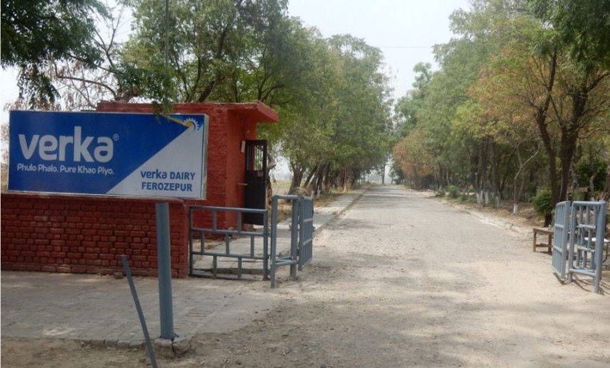 verka ferozepur inc milk proc price dairynews7x7