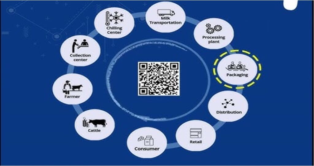 B2B dairy transforms strategic brand dairynews7x7