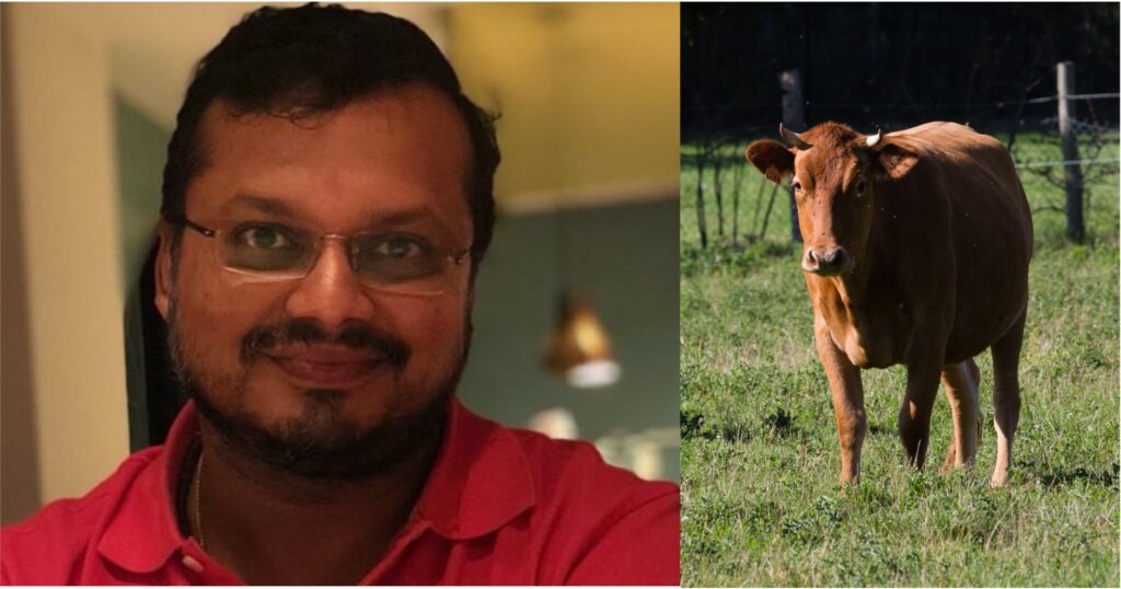 bovine ivf business prospects dairynews7x7