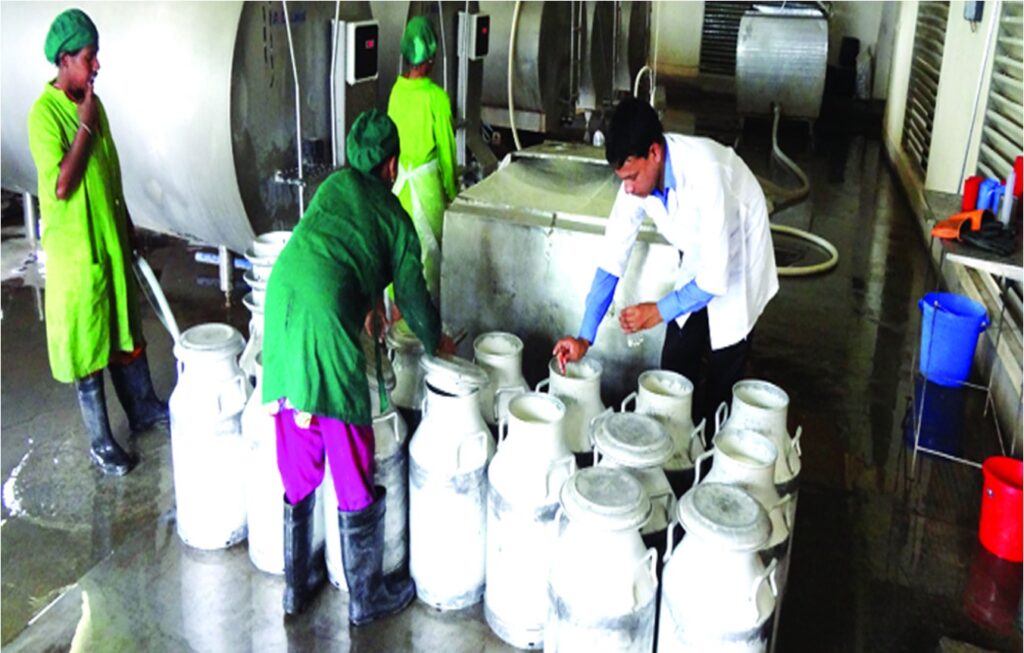 cooperative university to train farmers dairynews7x7