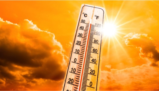 heatwave milk market shortage dairynews7x7