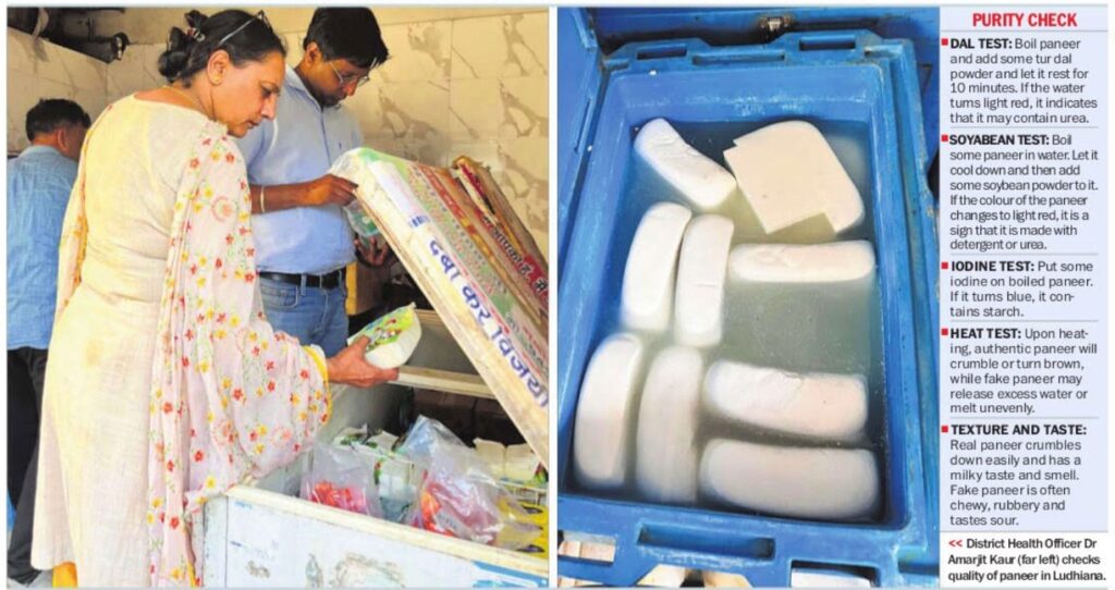punjab fake paneer dairynews7x7