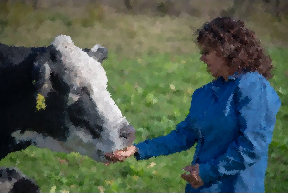 woman power in us dairynews7x7