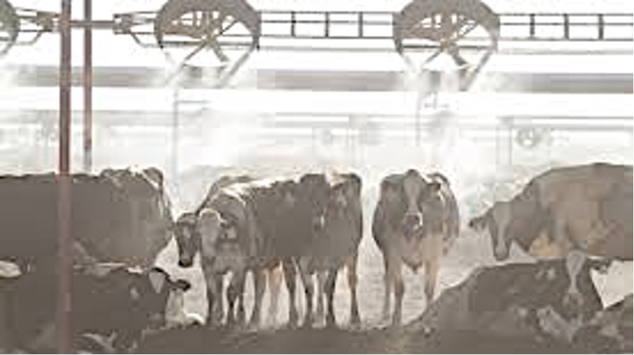 Ludhiana heat stress dairy yields dairynews7x7